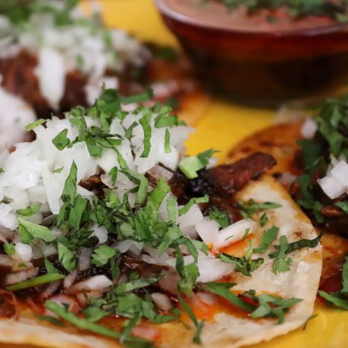 Taco birria de res